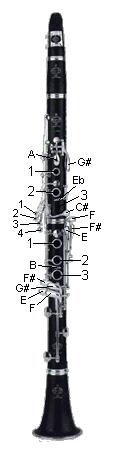 Fingering Scheme for Clarinet - The Woodwind Fingering Guide