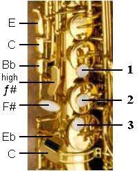 Right Hand Saxophone Keys