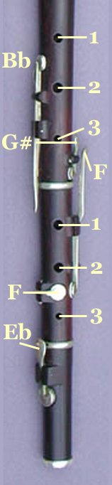 Flute Diagram