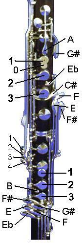 Bass Clarinet Diagram
