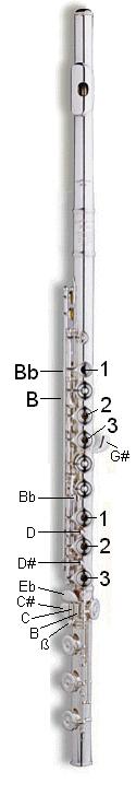 Flute Diagram