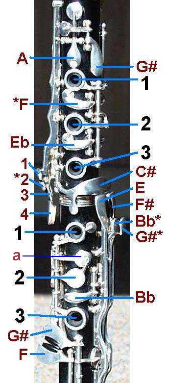 Oehler System Clarinet