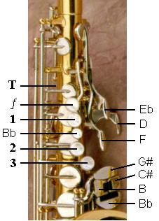 Eb Alto Saxophone Key Diagram